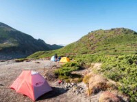 MOBI GARDEN LIGHT WINGS DAC UL1