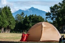 THE FREE SPIRITS GEMINI