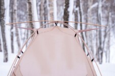 THE FREE SPIRITS GEMINI