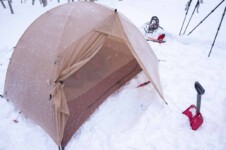 THE FREE SPIRITS GEMINI