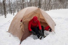 THE FREE SPIRITS GEMINI