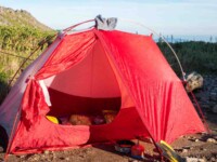 MOBI GARDEN LIGHT WINGS DAC UL1