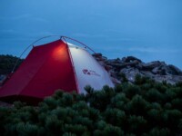 MOBI GARDEN LIGHT WINGS DAC UL1