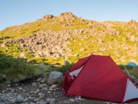 MOBI GARDEN LIGHT WINGS DAC UL1