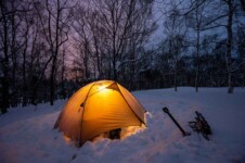 THE FREE SPIRITS GEMINI