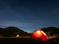 MOBI GARDEN LIGHT WINGS DAC UL1