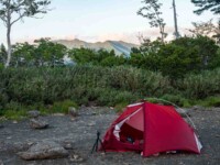 MOBI GARDEN LIGHT WINGS DAC UL1