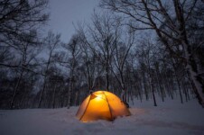 THE FREE SPIRITS GEMINI