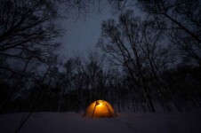 THE FREE SPIRITS GEMINI