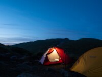 MOBI GARDEN LIGHT WINGS DAC UL1