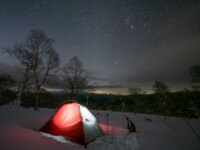 MOBI GARDEN LIGHT WINGS DAC UL1