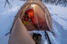 THE FREE SPIRITS Pangolin pro