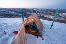 THE FREE SPIRITS Pangolin pro