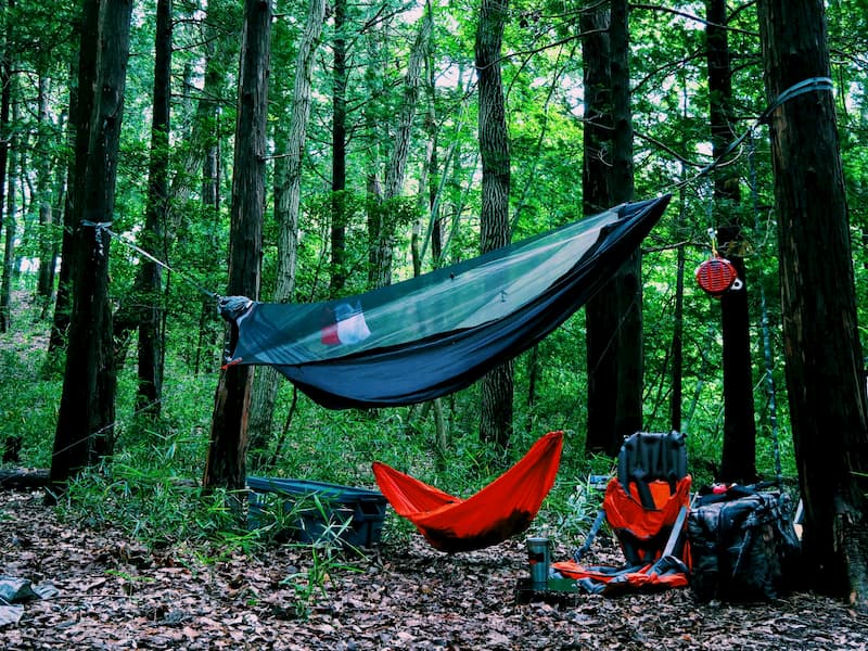 hammock こーだい