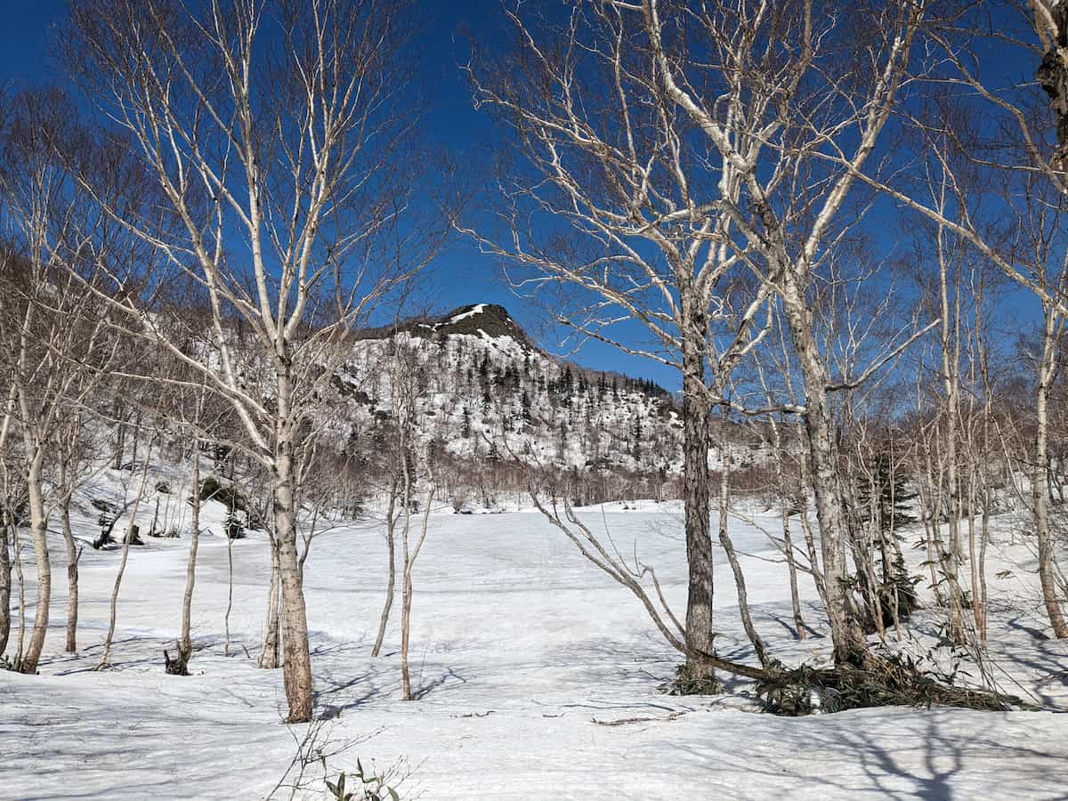 残雪の空沼岳を金山林道コースを歩く