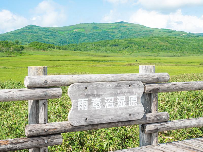 雨竜沼湿原