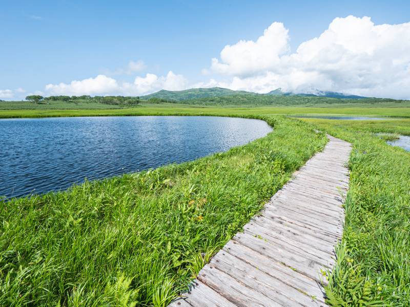 雨竜沼湿原