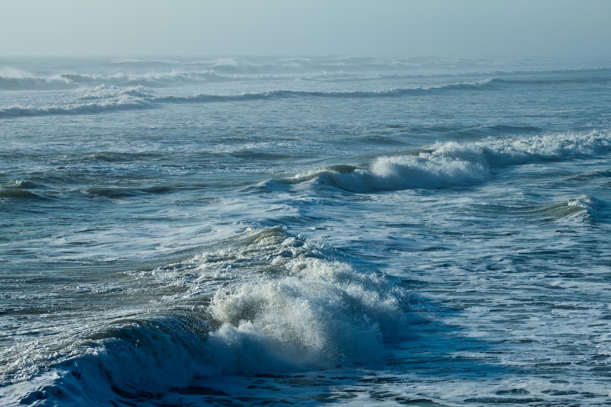 荒れた海