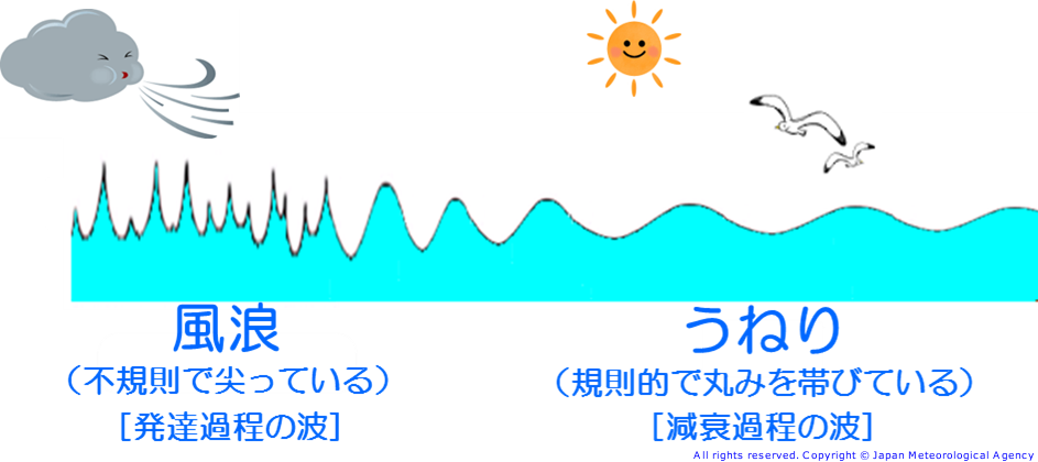 波 うねり 違い