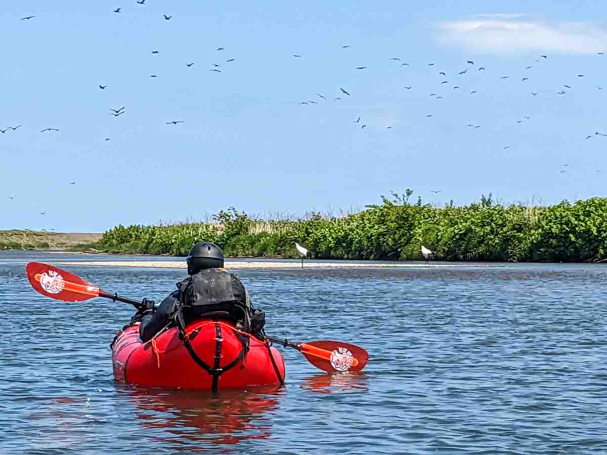 パックラフトで湧別川を1泊2日の川下り タンチョウ